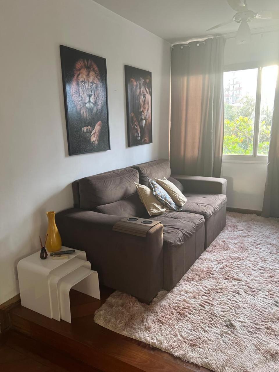 Apartamento Na Barra Da Tijuca 2 Quartos Com Ar Condicionado Appartement